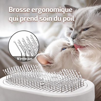 brosse ergonomique pour les chat