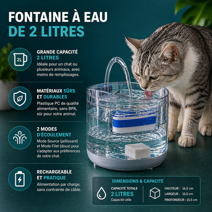 Fontaine à Eau pour Chat 2 Litres Transparente Double Mode Source et Filet