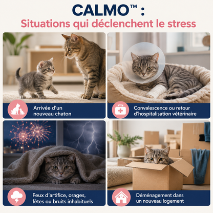 Calmo et les situations de stress de l'animal