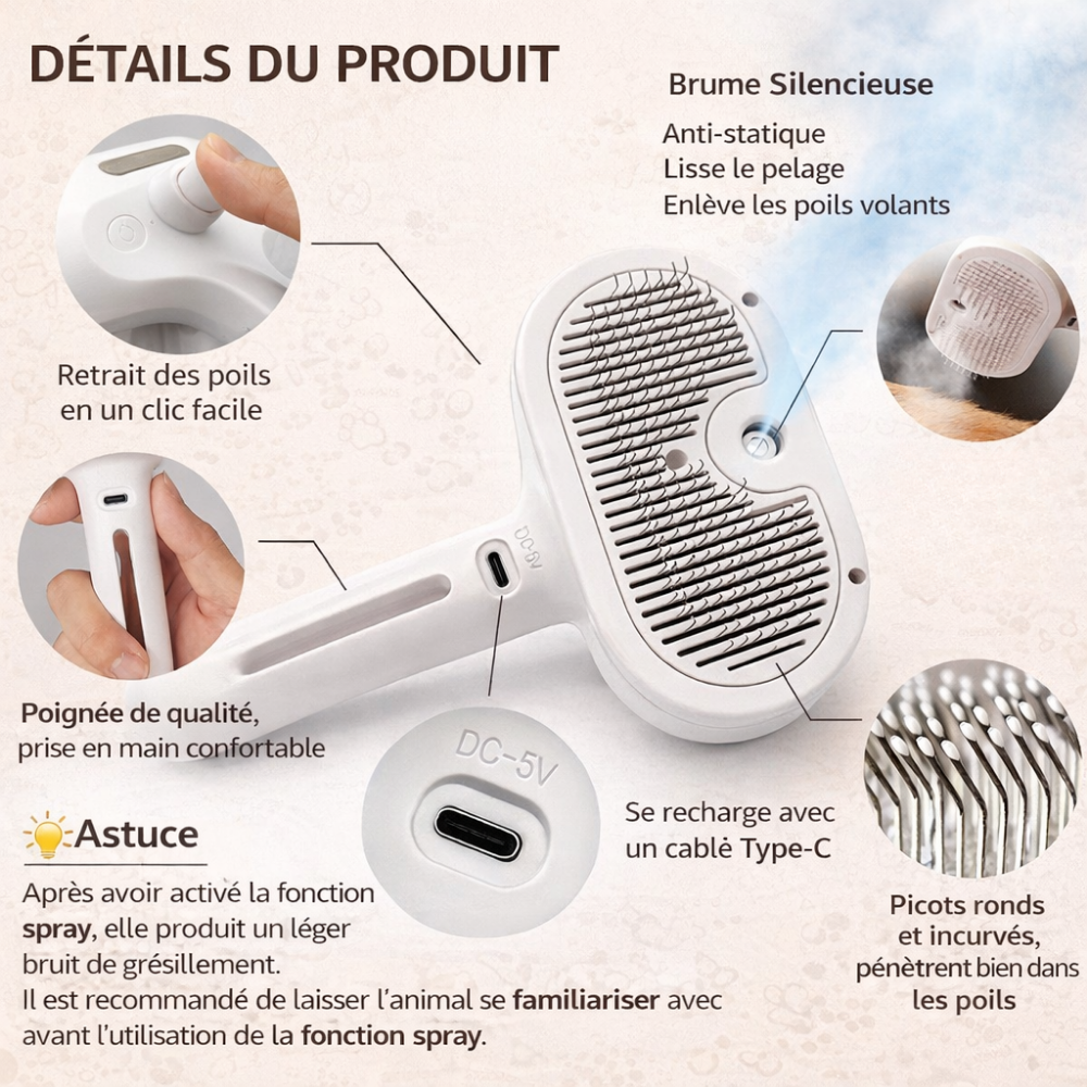 caractéristiques de la brosse vapeur