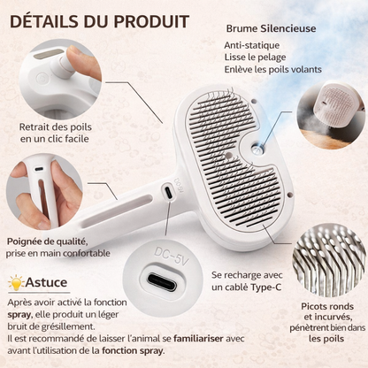 caractéristiques de la brosse vapeur