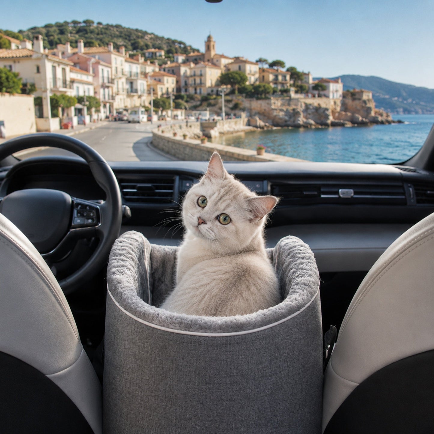 Chat blanc installé dans son CARRY-ME™ en siège voiture
