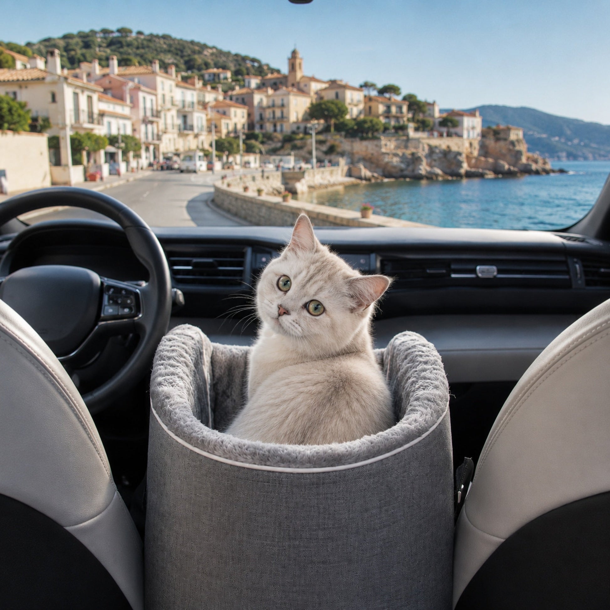 Chat blanc installé dans son CARRY-ME™ en siège voiture