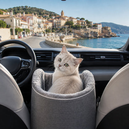 Chat blanc installé dans son CARRY-ME™ en siège voiture
