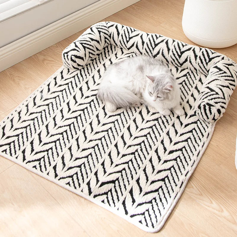 chat allongé sur son coussin à coté de la fenêtre