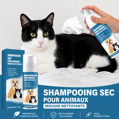 chat avec mousse de lavage sur lui
