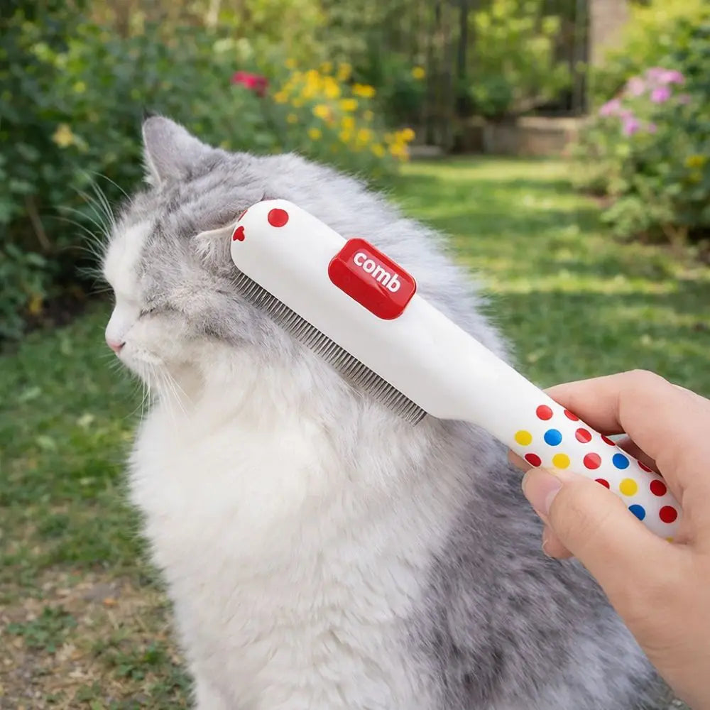 chat blanc se fait peigné dans un parc