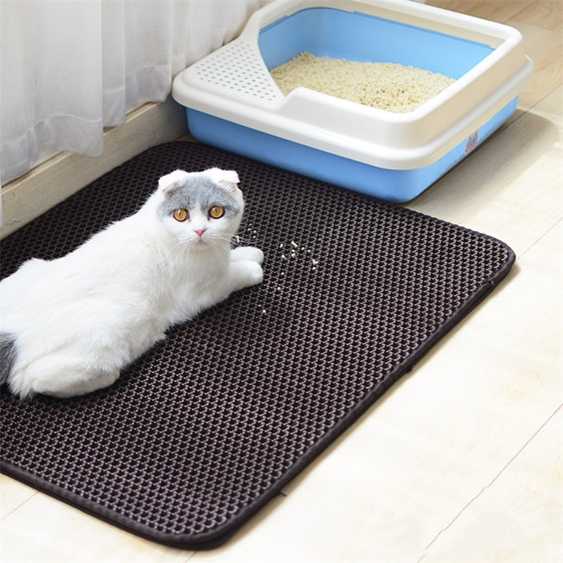 chat blanc couché sur son tapis de litière