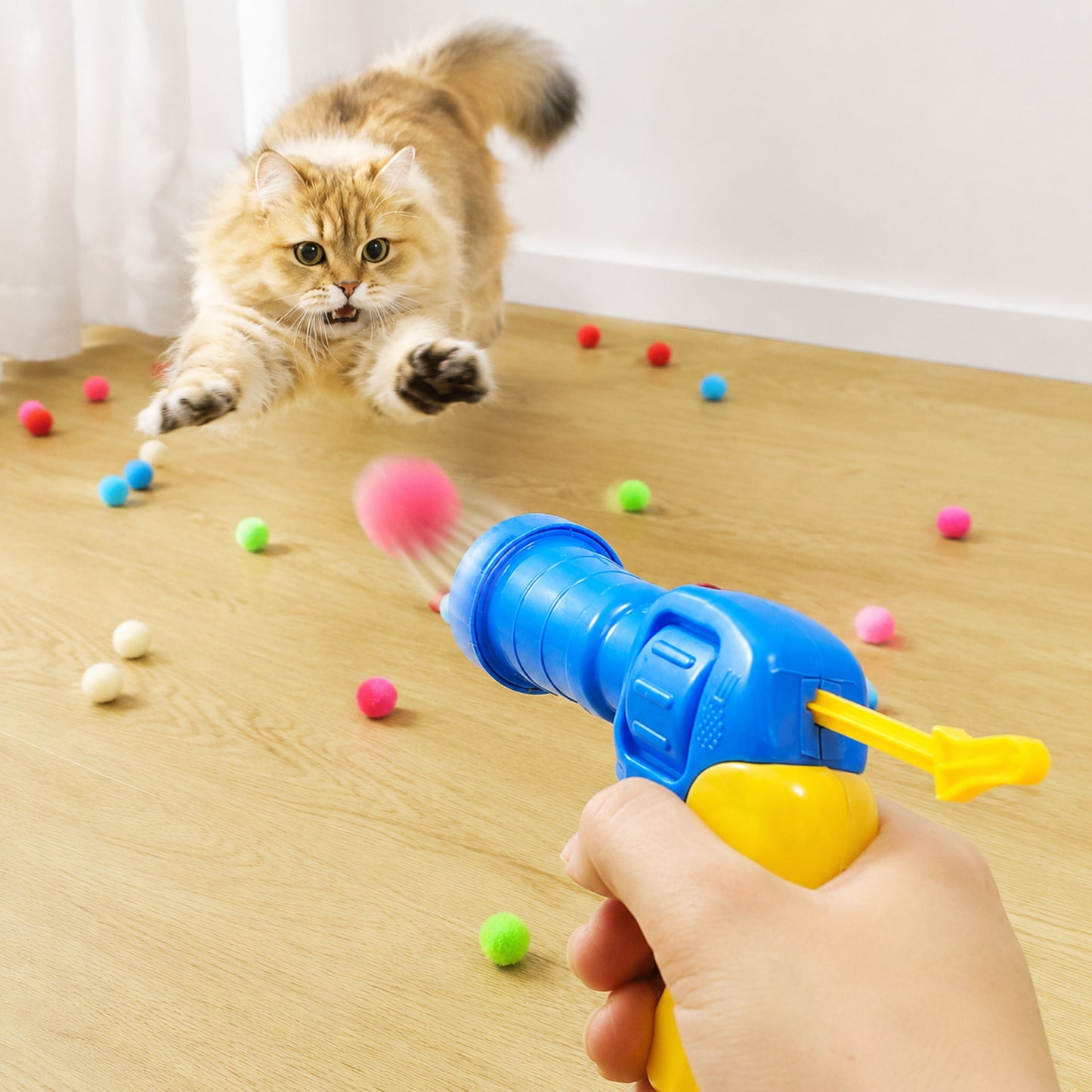 chat qui joue à la balle