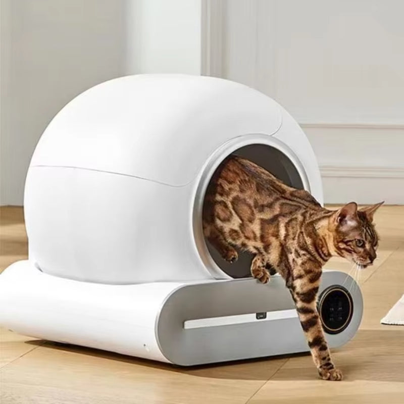 autocat chat roux litière
