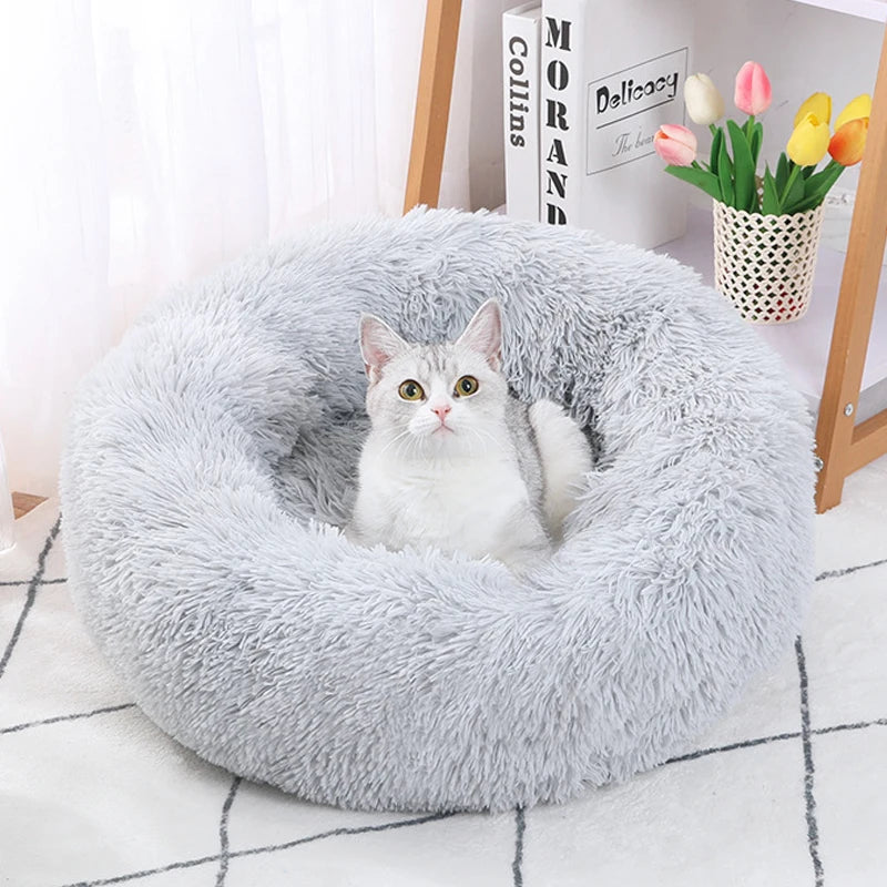 Chat sur son coussin gris clair