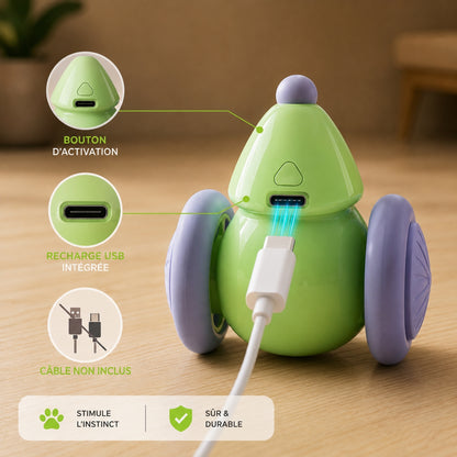 souris électrique rechargeable