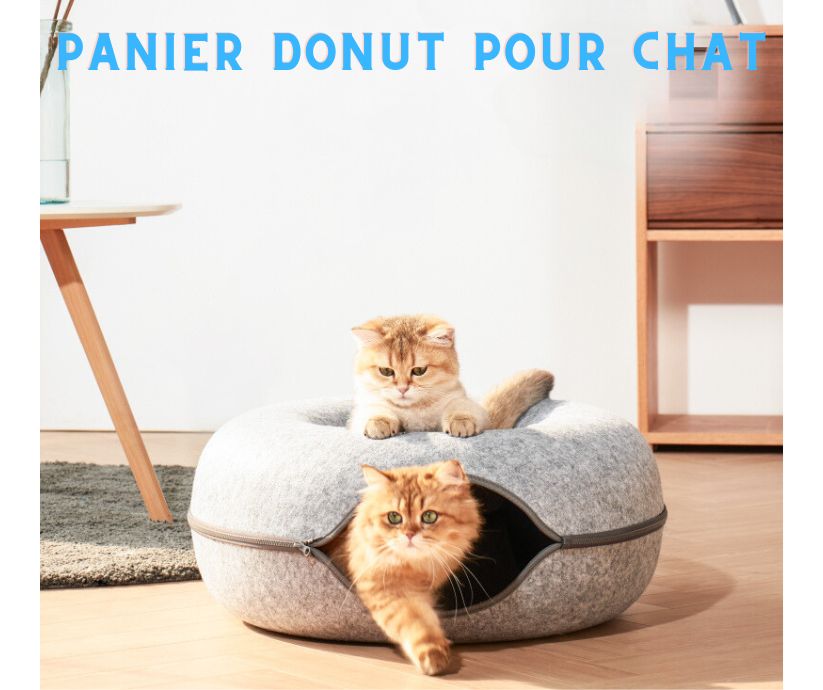 chats dans leurs niche donut's pet