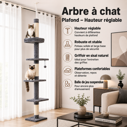 arbre à chat muti-niveaux
