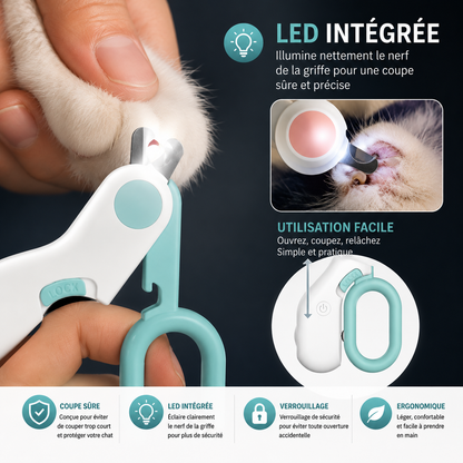 LED intégrée CLIC-GRIFFE illuminant le nerf de la griffe — coupe sûre et précise