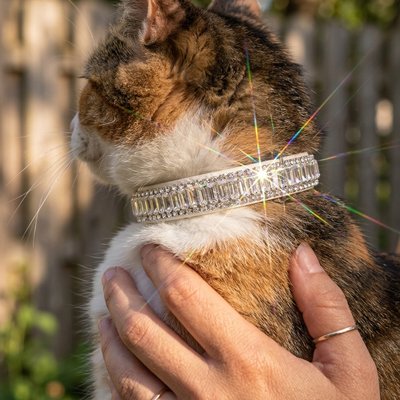 Collier Chat