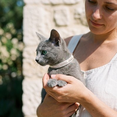 Collier Chat