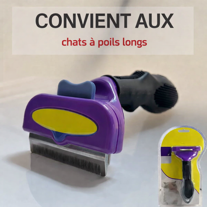convenances pour poils longs