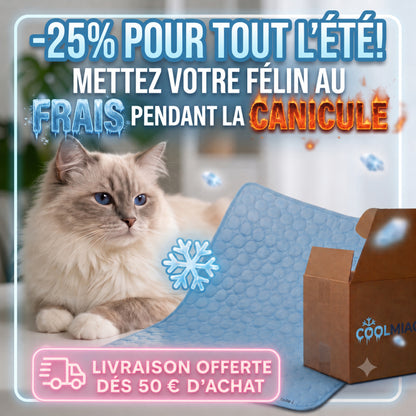 coolmiaou le tapis fraicheur a -25% + livraison offerte dés 50 euros pendant la canicule
