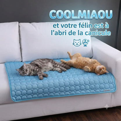 coolmiaou et la canicule est oubliée pour l'été