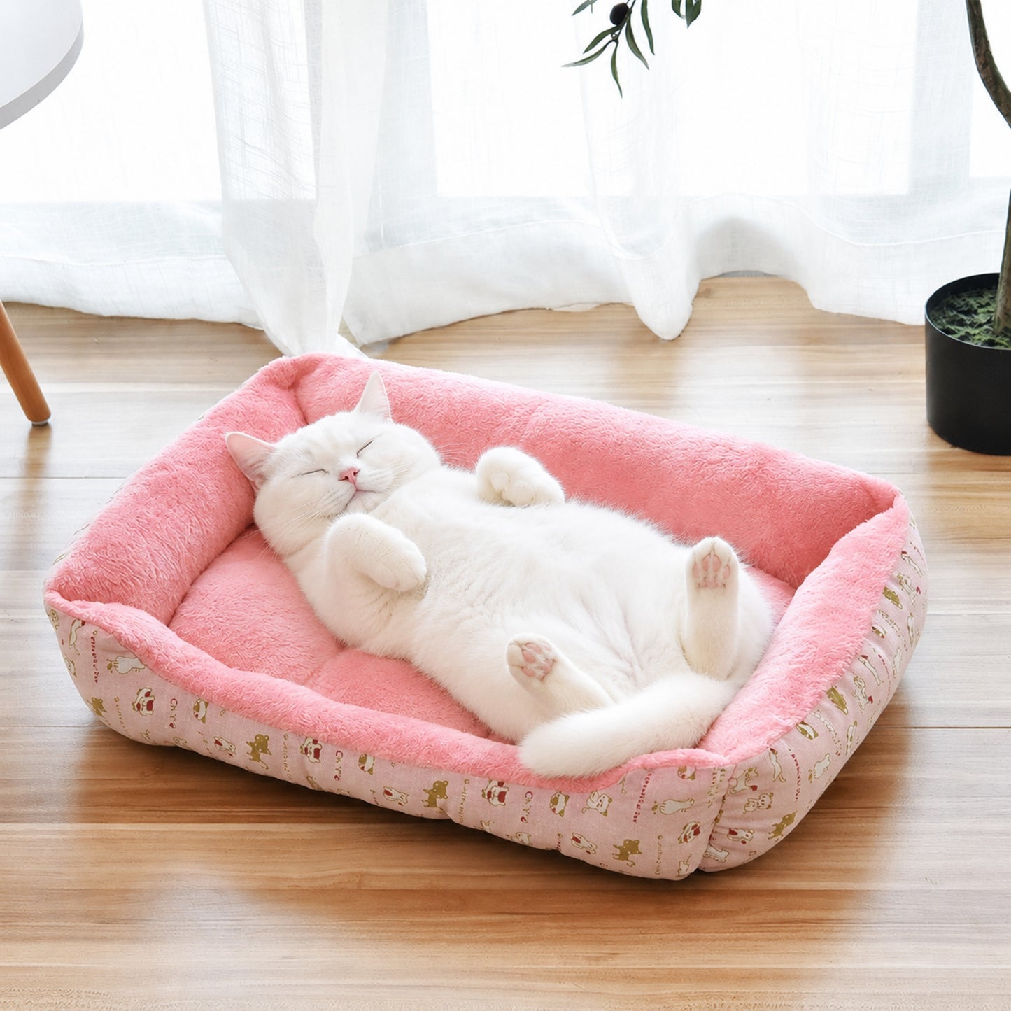 DOUX'NIL™ chat blanc qui dort