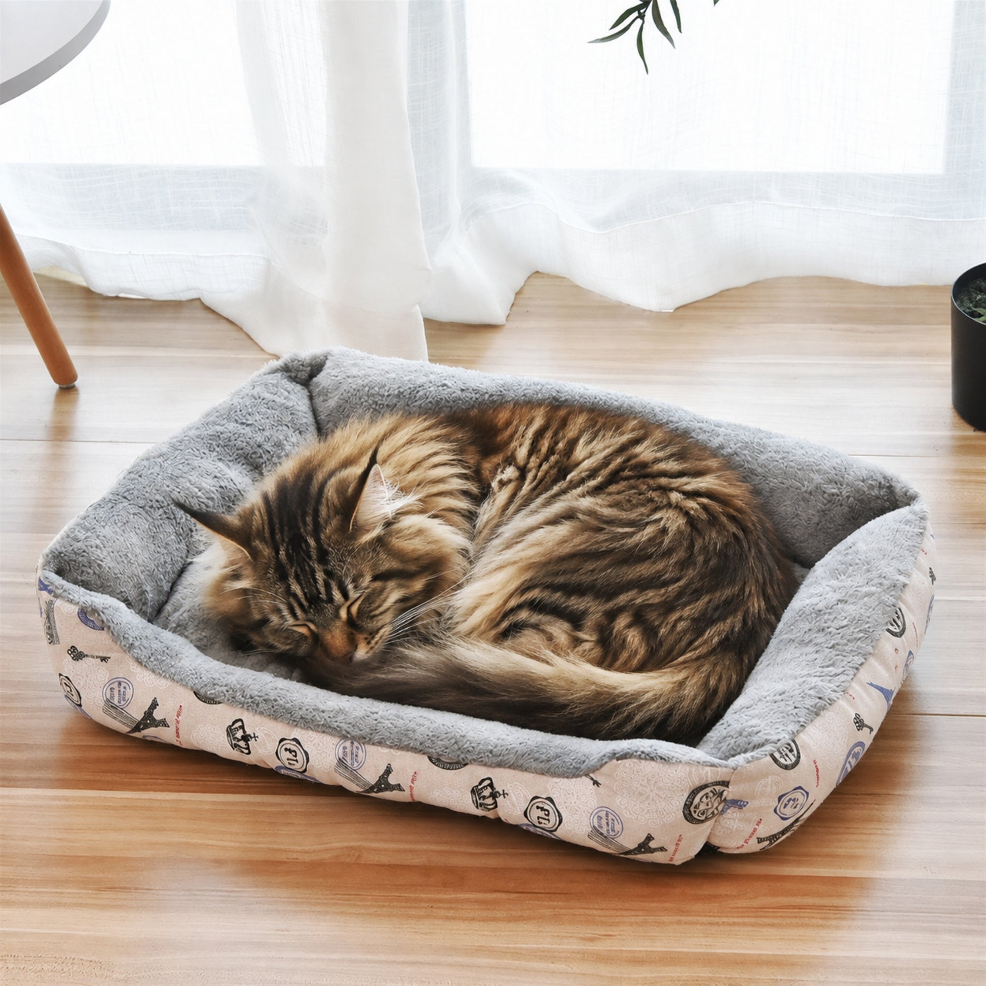 DOUX'NIL™ Maine-coon qui dort