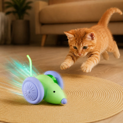 jouet interactif pour chat en souris