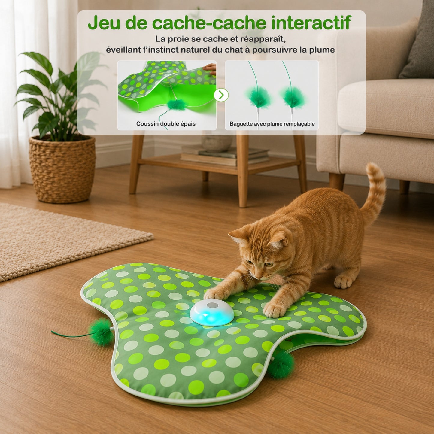 chat qui chasse la plume jouet automatique