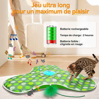 jouet interactif chat baguette plumes souris grinçante