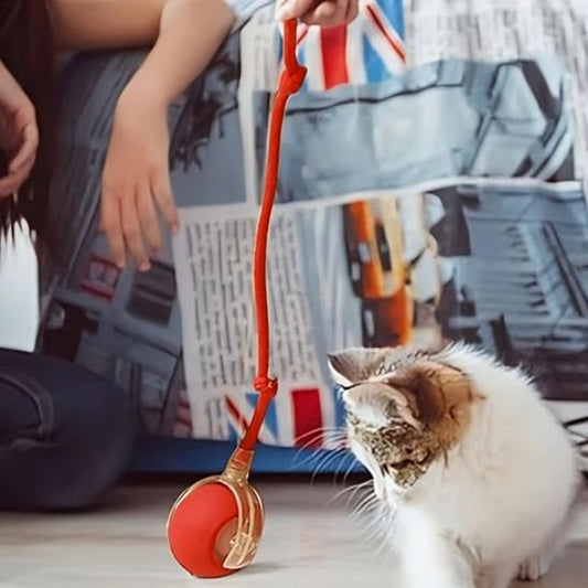 Jouet pour chat