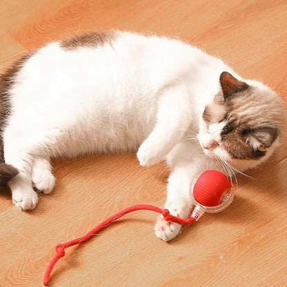 Jouet pour chat