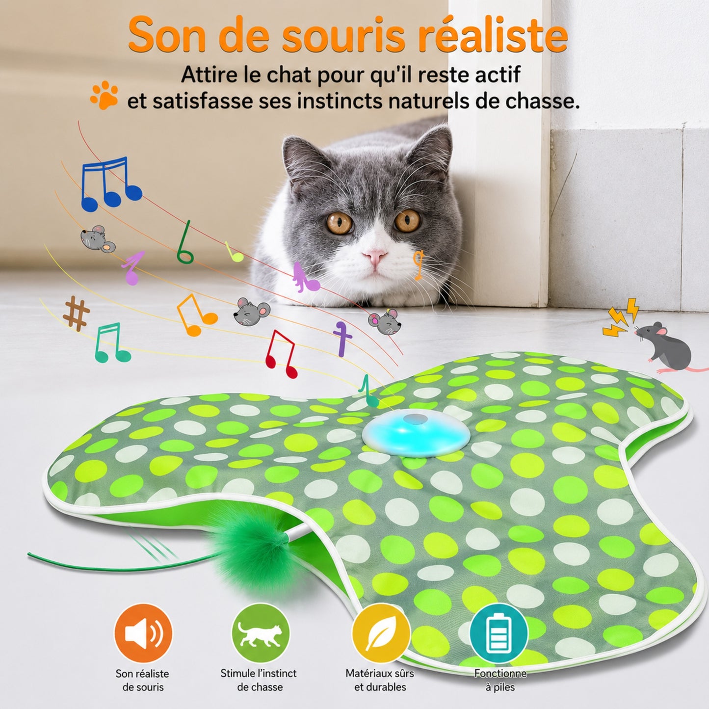 chaton qui traque la baguette plumes
