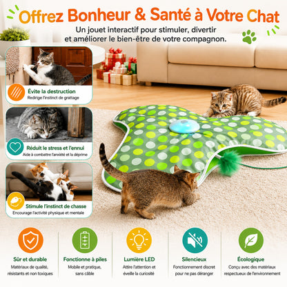 deux chats qui jouent ensemble jouet interactif