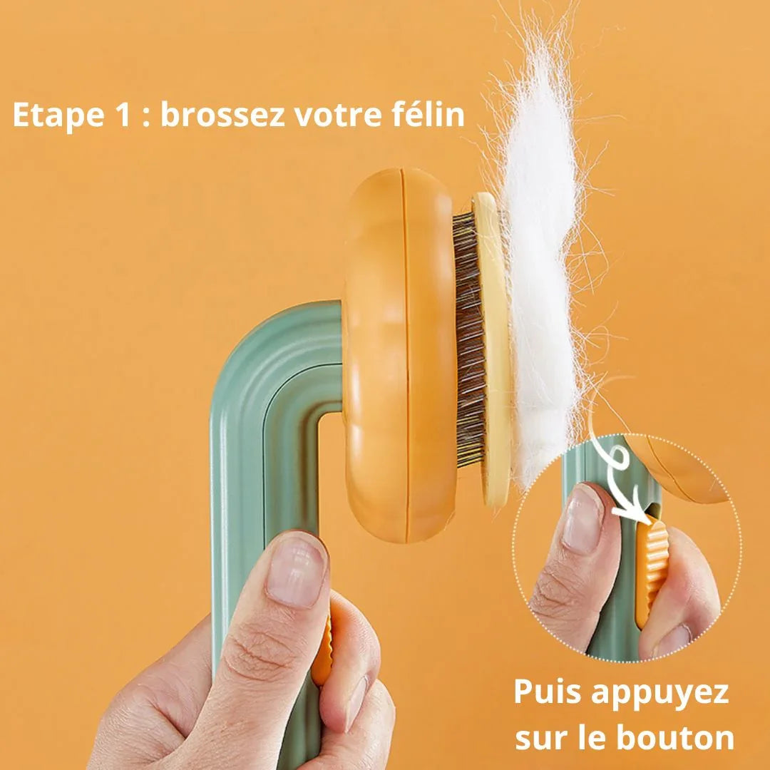 brossez en toute sécurité