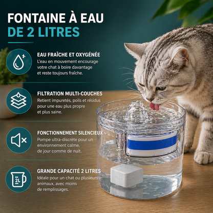 Fontaine à Eau pour Chat 2 Litres Transparente Double Mode Source et Filet