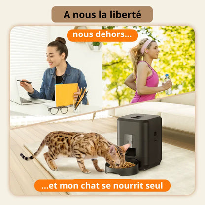 gagnez en liberté avec ce distributeur wifi