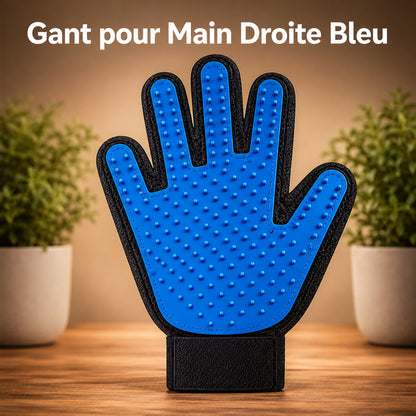 MASSOGLOVE™ gant de toilettage main droite coloris bleu