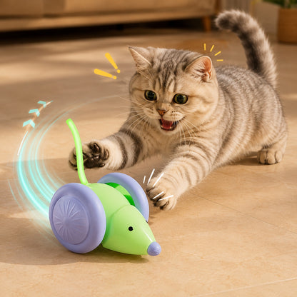 mimi-car voiture pour chat