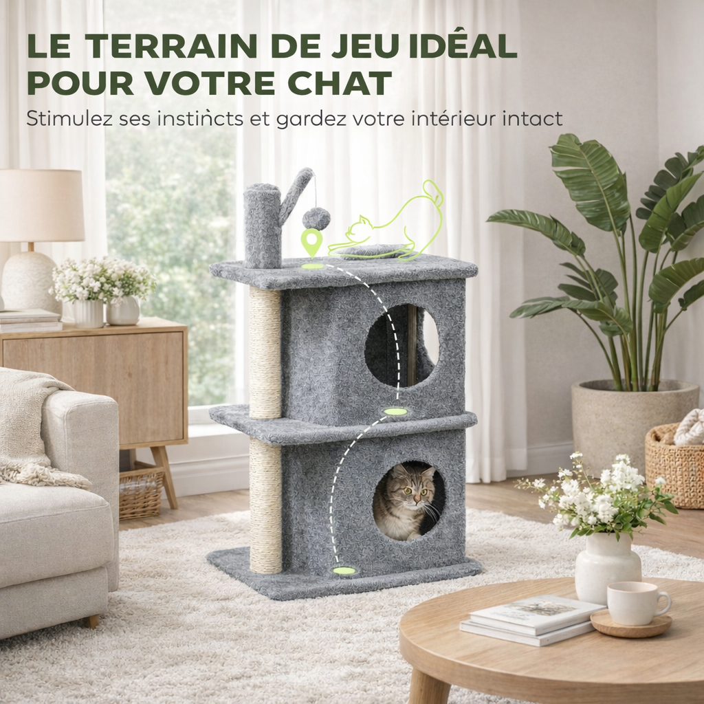 petit chat qui se glisse dans la niche d'un arbre à chat