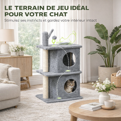 petit chat qui se glisse dans la niche d'un arbre à chat