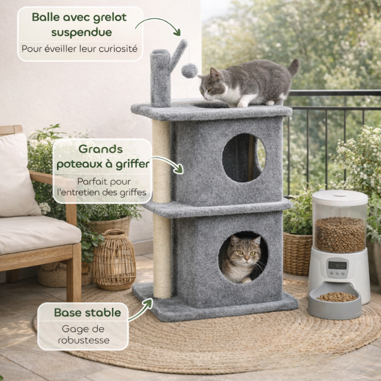 deu chats sur un arbre à chat mis dans un balcon