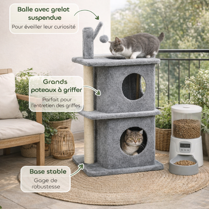 deu chats sur un arbre à chat mis dans un balcon