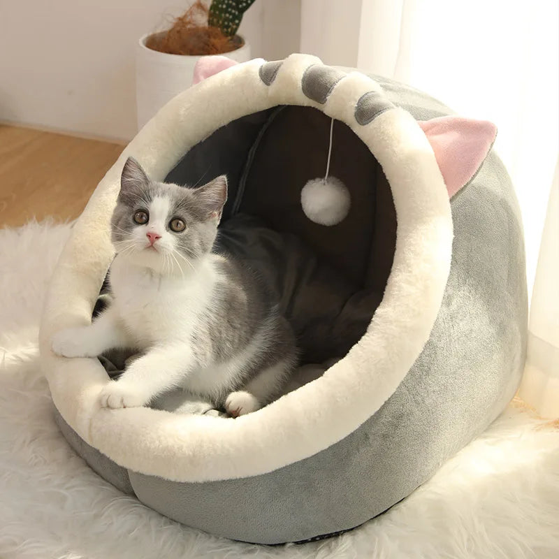 petit chaton dans son nid douillet
