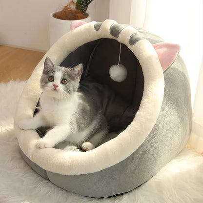 petit chaton dans son nid douillet