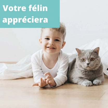 photo d'un garçon et de son chat