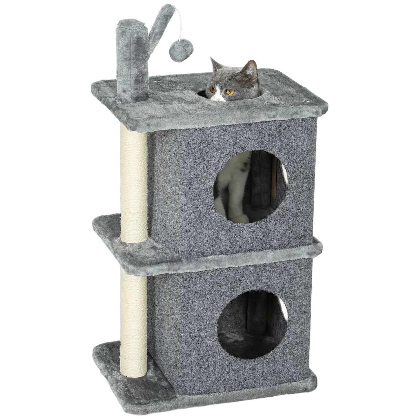 présenttion de l'arbre à chat