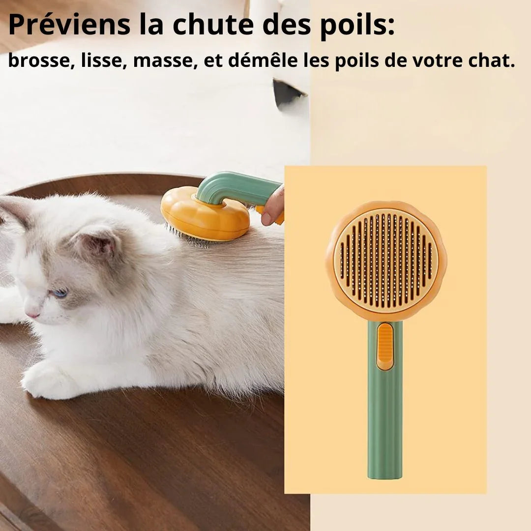 préviens la chute des poils morts
