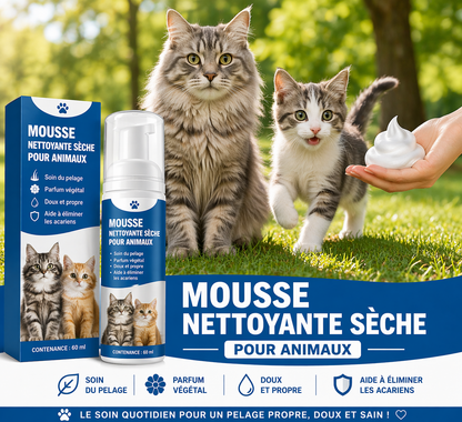 2 chats avec flacon de lavage à coté