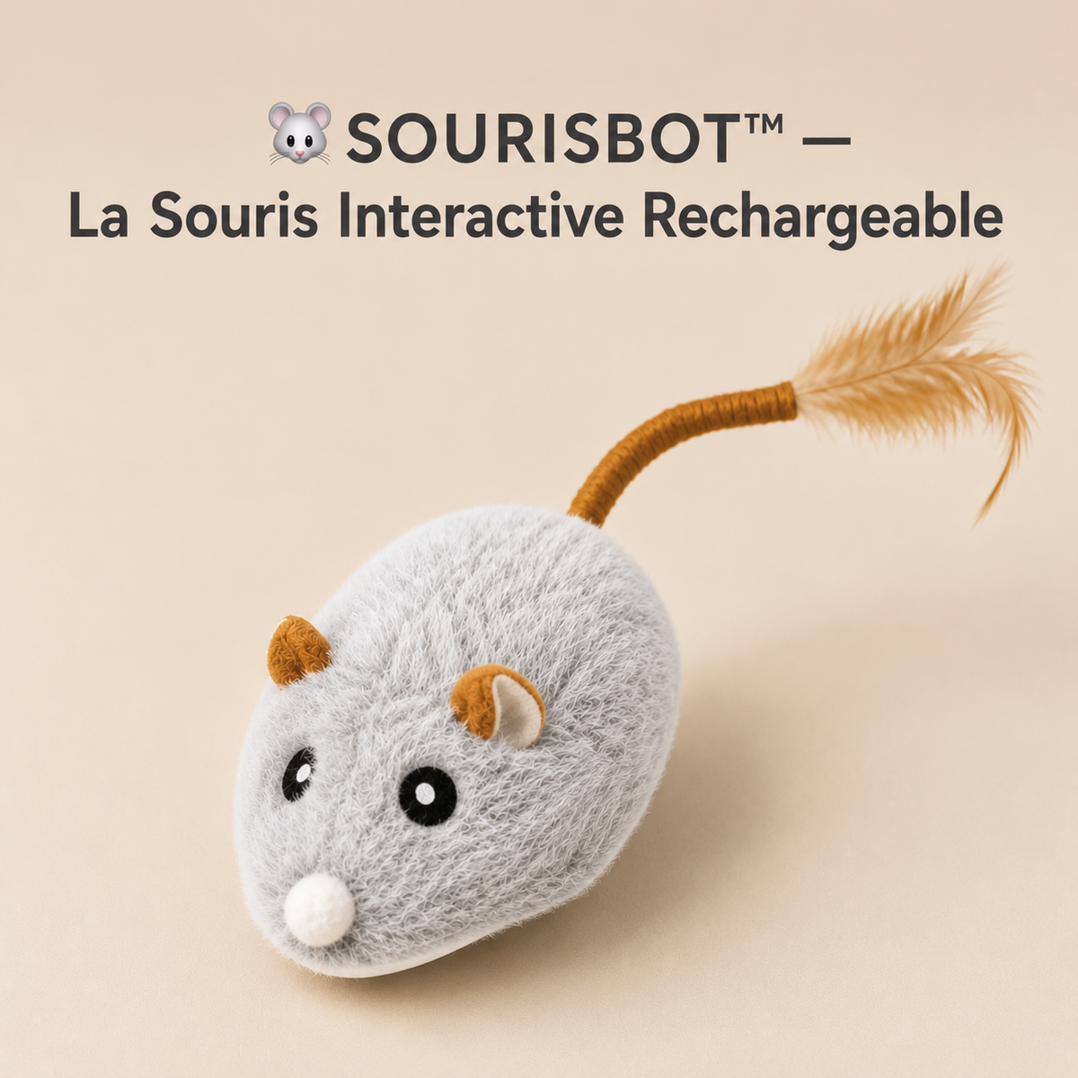 sourisbot la souris qui rend fou votre chat 