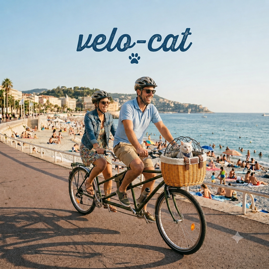 VELO-CAT panier en osier et couple en tandem le long d'une plage